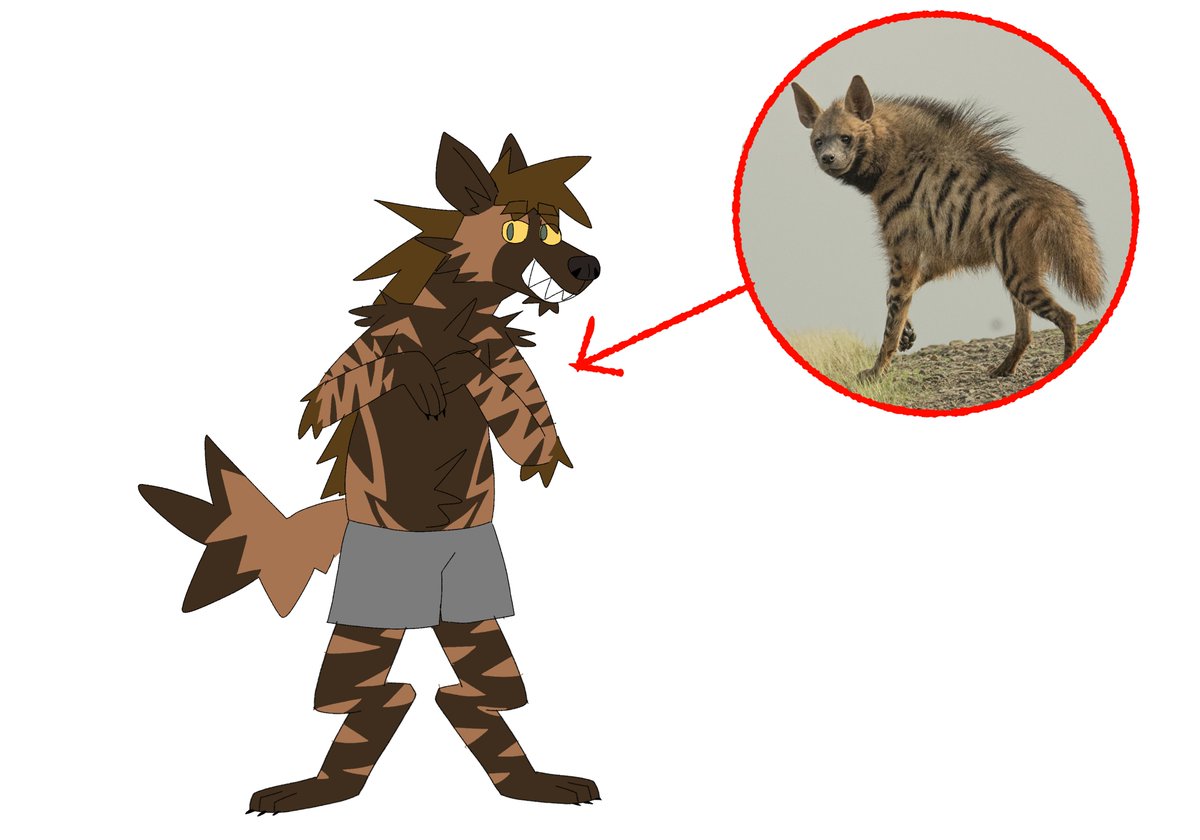 Sean if he was actually hyena shaped