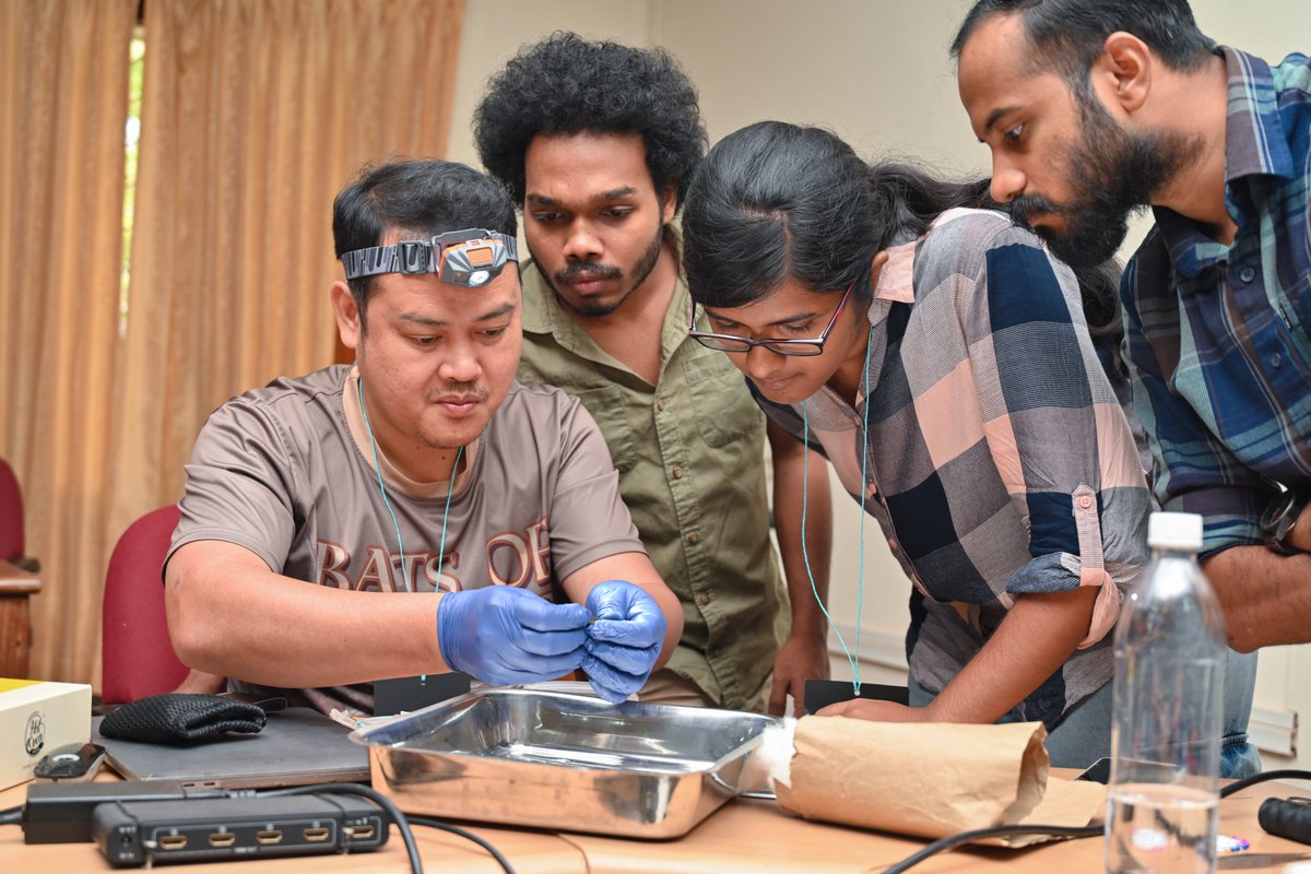 Field and lab training at wildlab.in 's Workshop on Bat Taxonomy, Acoustics, and Biogeography #batforbats #kscste #kfri by <a href="/PipatSS/">PIPAT SOISOOK</a> Sreehari Raman <a href="/paintedbat/">Rohit Chakravarty</a>