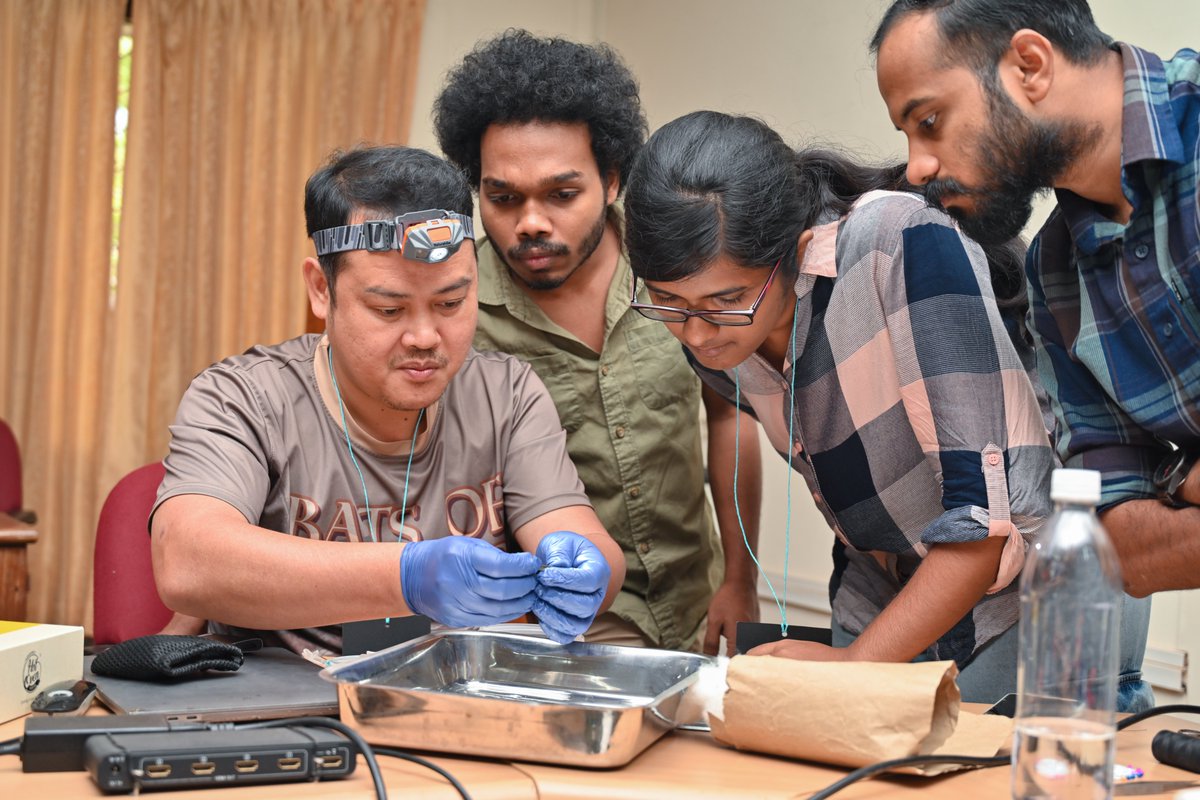 Field and lab training at wildlab.in 's Workshop on Bat Taxonomy, Acoustics, and Biogeography #batforbats #kscste #kfri by @PipatSS Sreehari Raman @paintedbat