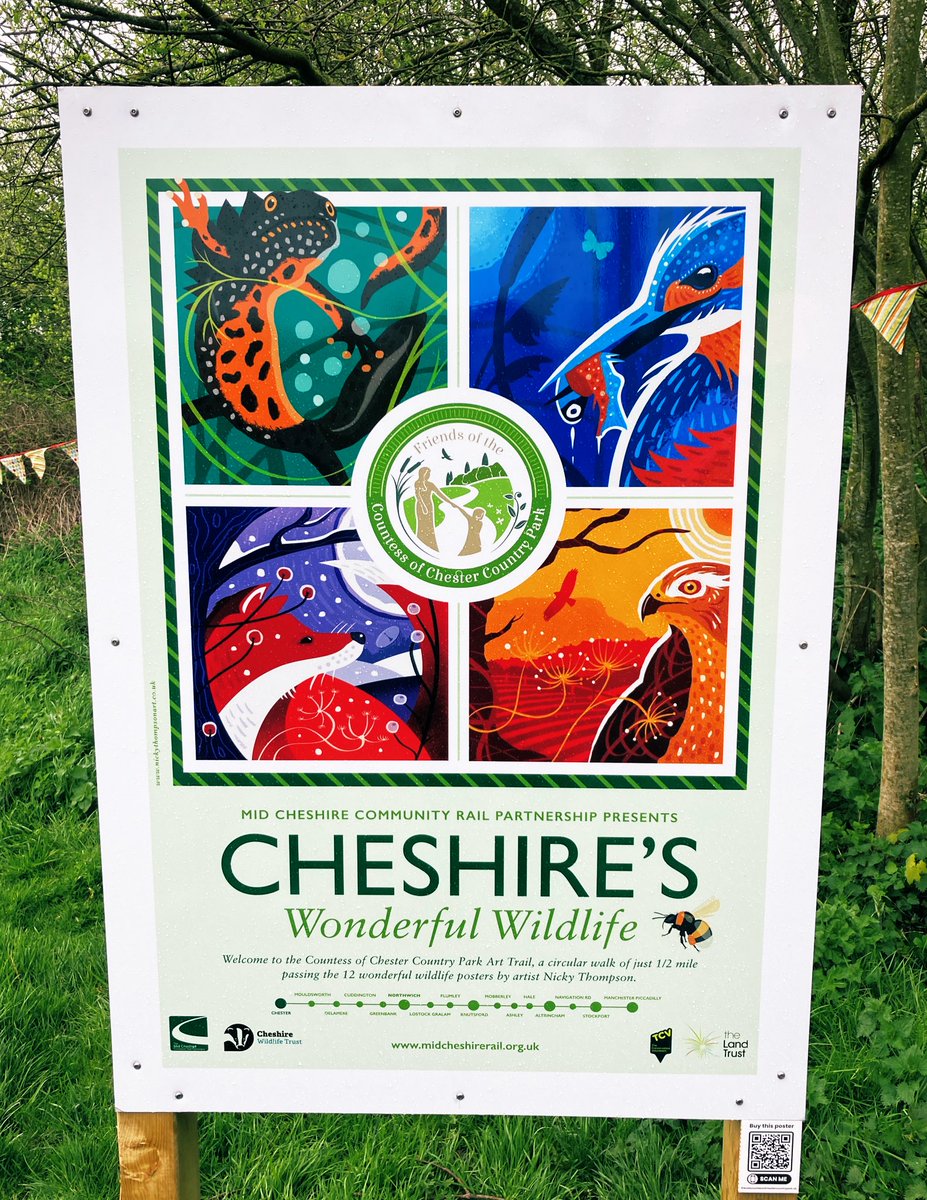 I really enjoyed attending the opening of the new @FriendsCoCCP art trail today! 12 vibrant posters by @nickythompsona1, featuring #Cheshire wildlife - displayed along a half mile trail. You can even buy your favourite as a poster here!: friendscountessofchestercountrypark.uk