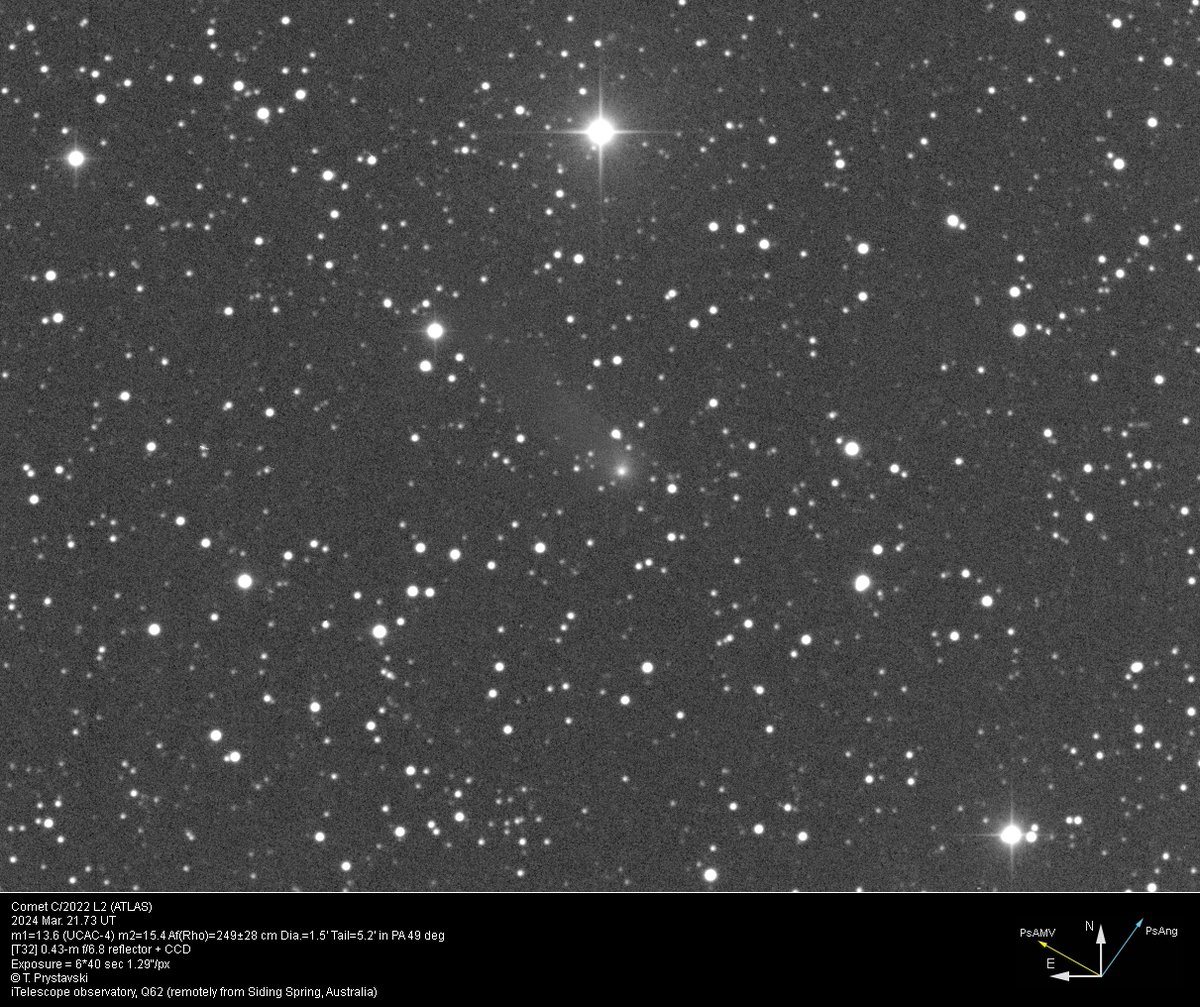 Comet C/2022 L2 (ATLAS) 2024 Mar. 21.73 UT m1=13.6 (m2=15.4) Dia.=1.5' Tail=5.2' in PA 49 deg... [T32] 0.43-m f/6.8 reflector + CCD... iTelescope observatory, Q62 (remotely from Siding Spring, Australia)