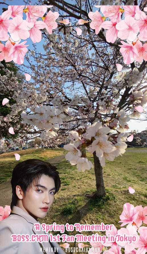 chihiro0209's tweet photo. フレームが今日までだったので、近所の公園の🌸とともに。
キレイなところはまだ満開じゃなかったー。
#Bosschaikamon
#BOSS_CKM_FM_TOKYO
#ShawtyBoss
#LovewithJapanShawtyBoss
#SpringwithBossckm https://t.co/VjLbK6QbNI