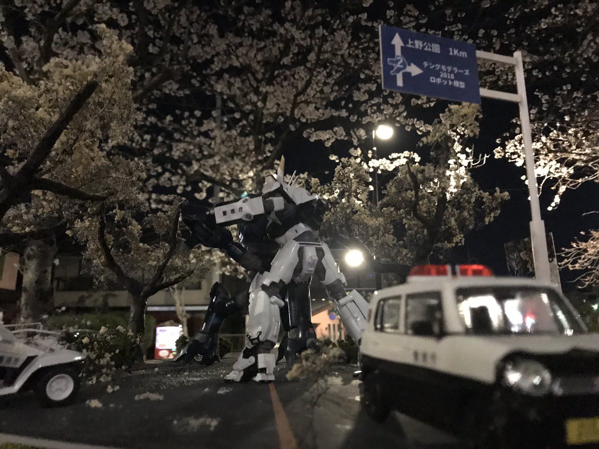 夜桜を見ながら散歩してる