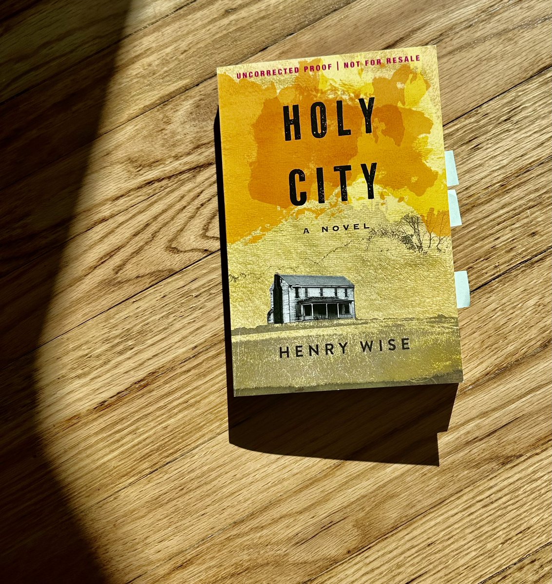 What did it take to earn respect, to be a man in one's home, where other men's tall legacies lay like vehicles discarded in a field? #SundaySentence from Holy City by Henry Wise.