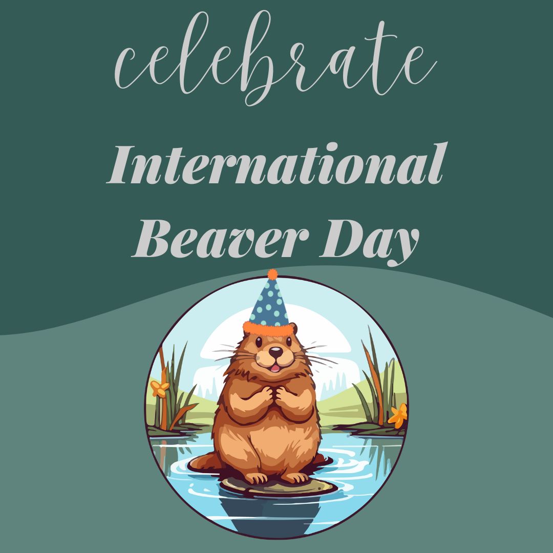 Happy #InternationalBeaverDay! 🎉Celebrate nature's skilled engineers and unsung heroes of our ecosystems. 🌳💧 Their work enhances biodiversity and helps us fight climate change. Honour our furry friends today by learning more about them workingwithbeavers.ca #EcoHeroes