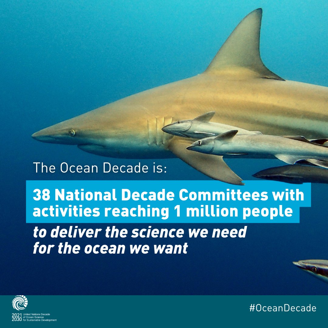 The #OceanDecade is above all thousands of ocean professionals exploring, researching, and safeguarding our ocean. On April 10-12, this global community will meet at the 2024 Ocean Decade Conference to discuss the science we need for the ocean we want: oceandecade-conference.com