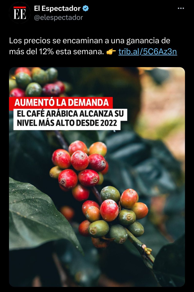 Con la esperanza de que estos cambios en los precios beneficien a nuestros caficultores colombianos. El café arábica, el orgullo de Colombia, reconocido como el mejor café en grano a nivel mundial. 🌱☕️ #CaféColombiano #OrgulloCafetero. AMPLÍA LA NOTICIA 👇🏻👇🏻👇🏻…