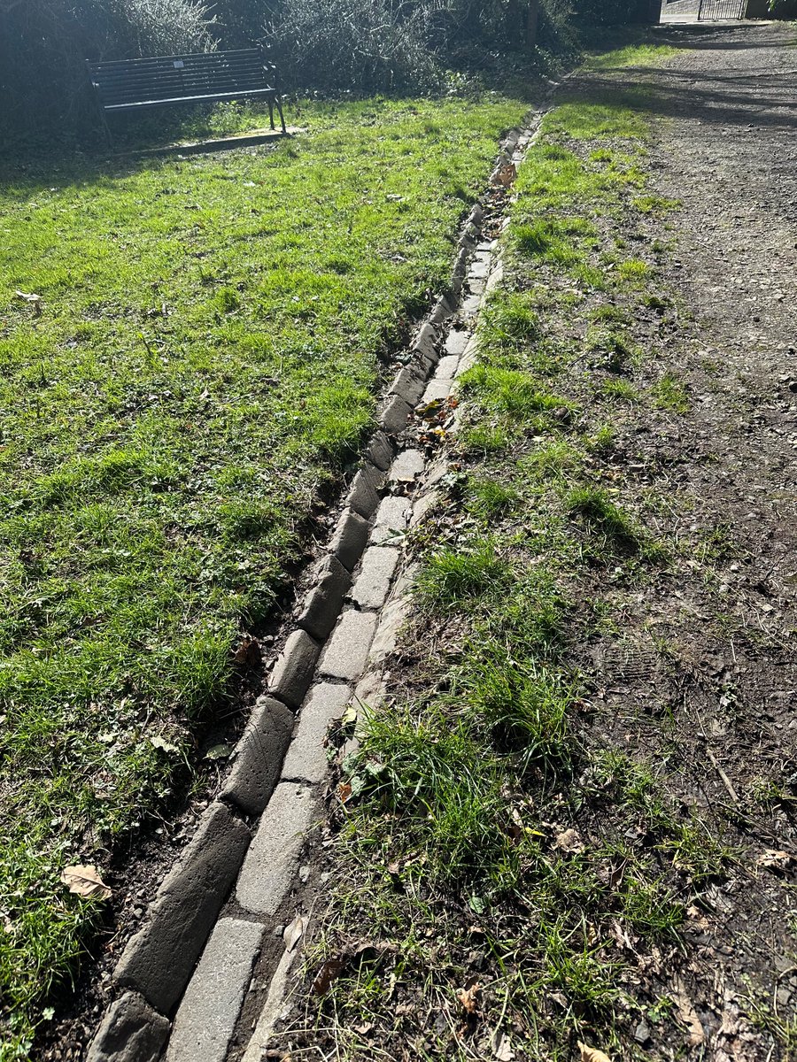 Neil Inglis tweet media