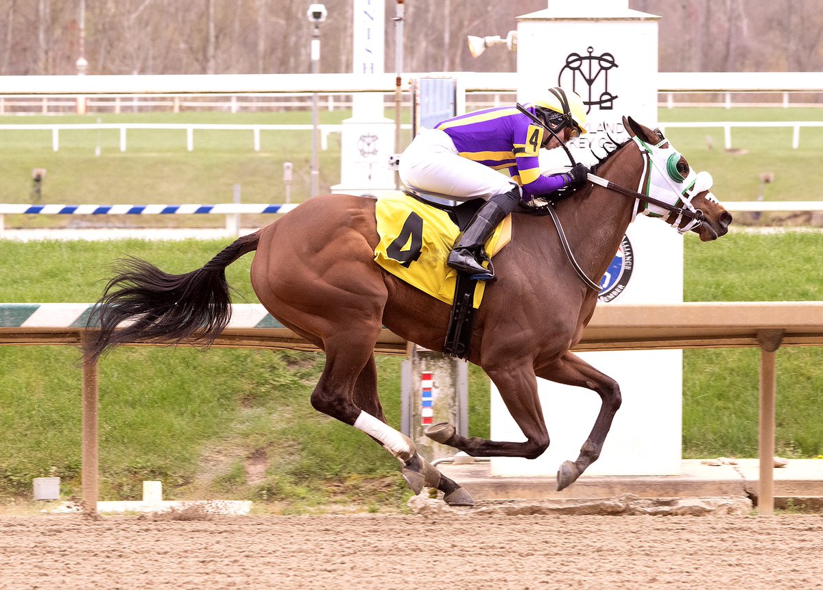 Society Ball, 3YO @MarylandTB filly by Great Notion, stretches out to 1M and comfortably wins N1X allowance @LaurelPark Saturday with @LyapustinaTais riding for @GaudetRacing and Squire Thoroughbreds. (Jim McCue 📷)