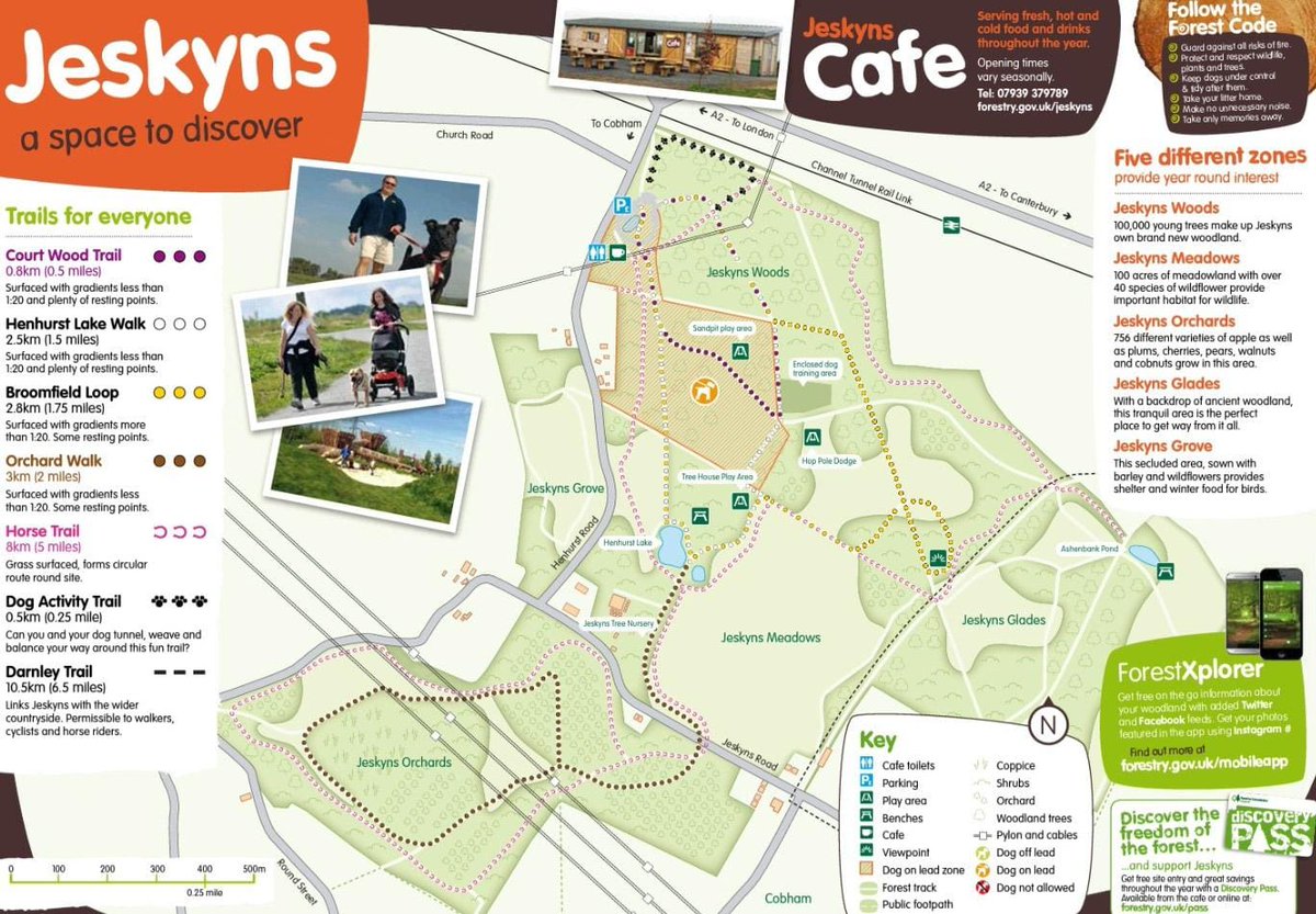 Fancy a walk? 👟 Download these handy maps to plan your visit to #Gravesham's glorious green spaces! 🗺⬇️ 💚 #CobhamWood 🐄 💛 #ShorneWoods Country Park 🌳 💙 Gordon Gardens, #Gravesend 🦢 🧡 #Jeskyns 🐕