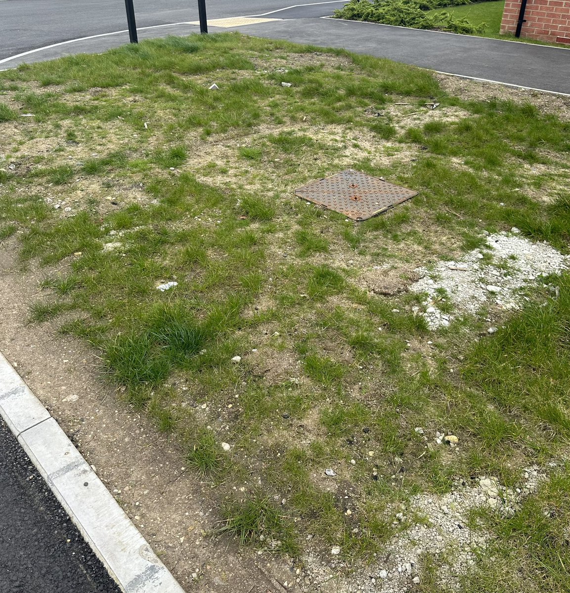 DavidOrriell's tweet photo. @TaylorWimpey please can you let me know when the grassed areas will be rectified at Saxilby Heights Lincoln. These are embarrassing for your company and so called quality house builder. All the grassed areas are built on clay which has been dug out of the foundations. Very Poor https://t.co/aWu6so5Llu
