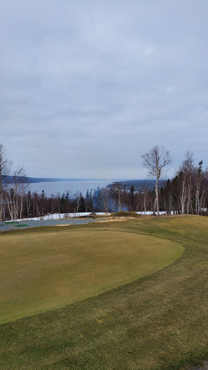 Max Finchem tweet media