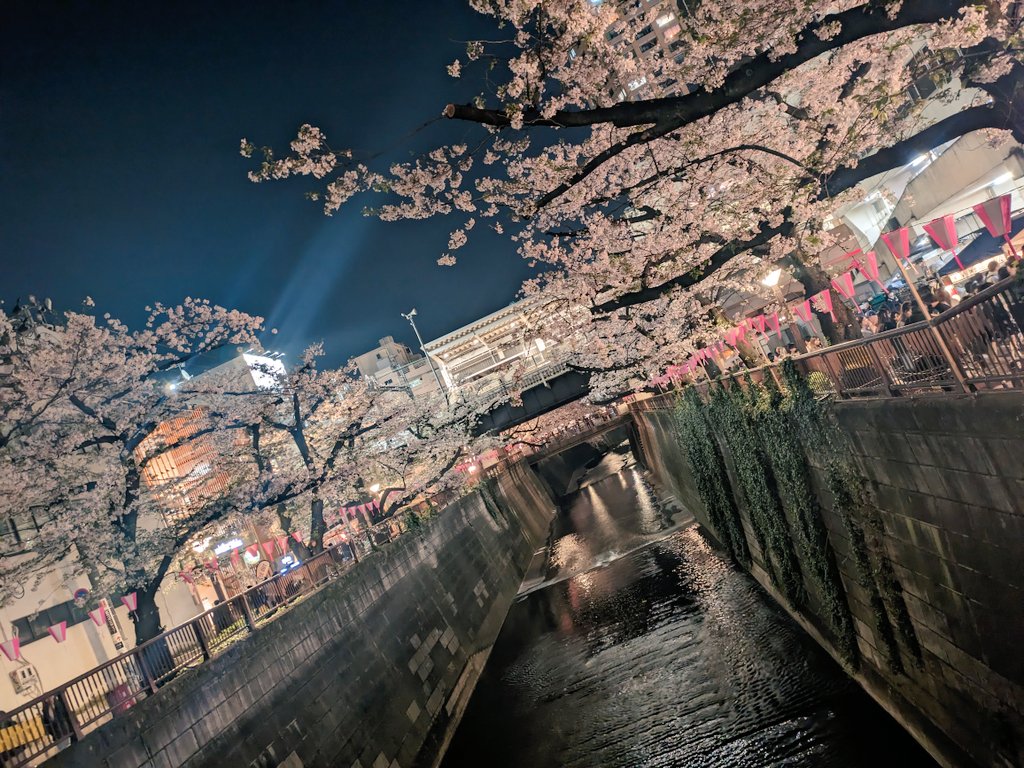 miwaayaka8926's tweet image. 今年は夜桜に🌸
🏮は先週までだった🥲
 #目黒川 #miwa 
#INITIAL 🍦