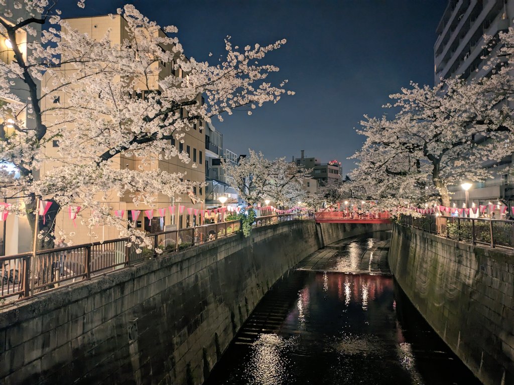miwaayaka8926's tweet image. 今年は夜桜に🌸
🏮は先週までだった🥲
 #目黒川 #miwa 
#INITIAL 🍦