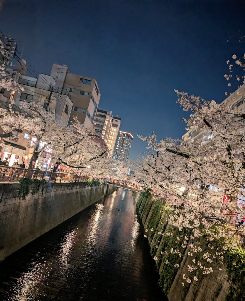 miwaayaka8926's tweet image. 今年は夜桜に🌸
🏮は先週までだった🥲
 #目黒川 #miwa 
#INITIAL 🍦