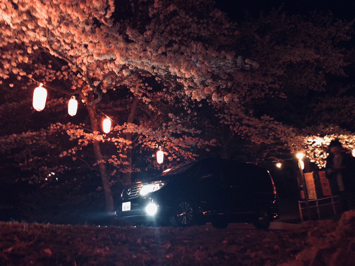 sho___ooo's tweet photo. 🌸 https://t.co/OpB38RyJPt