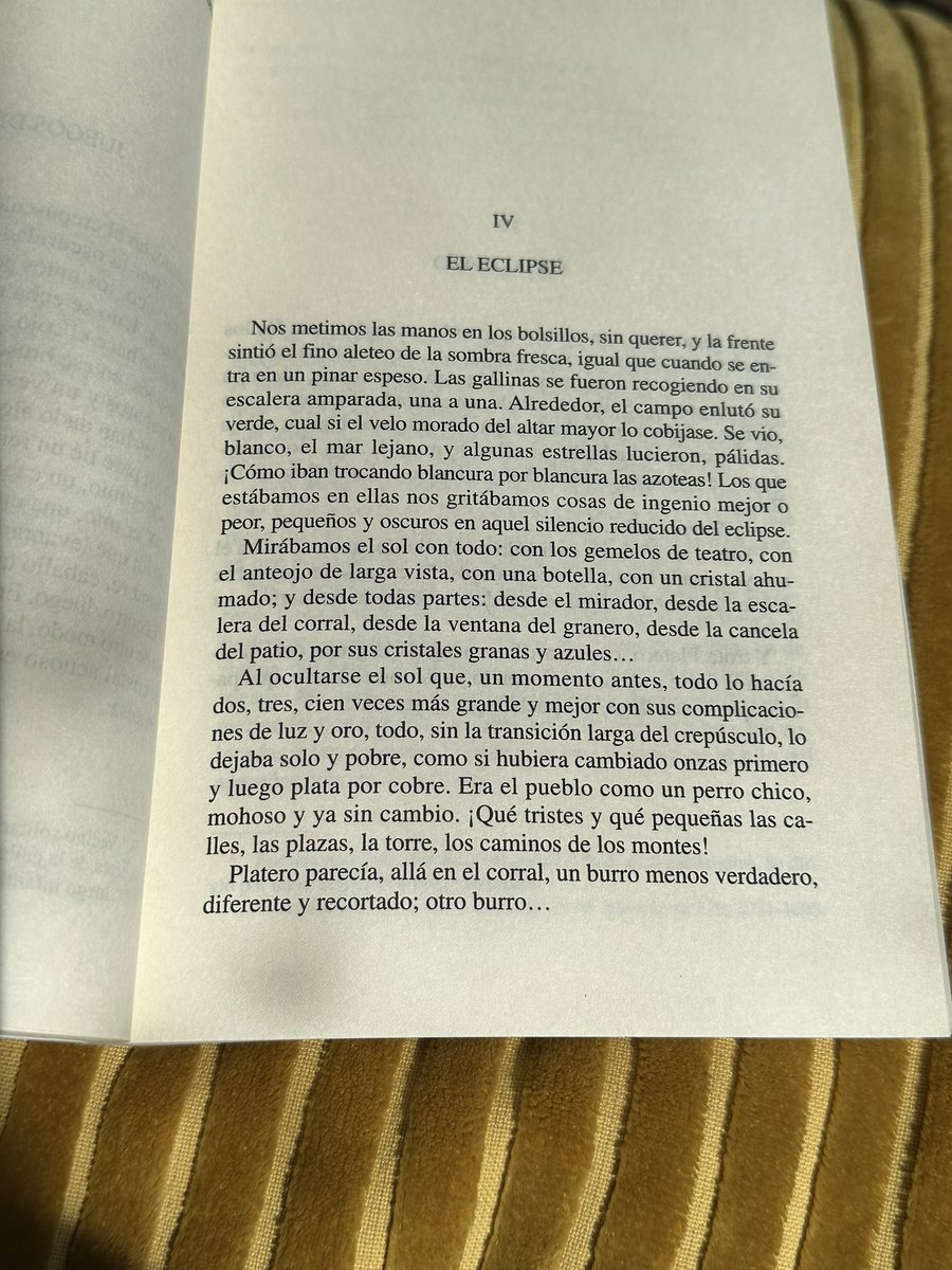 El rebulú que se ha armado con el eclipse de mañana me ha hecho recordar al buen Platero 🫏