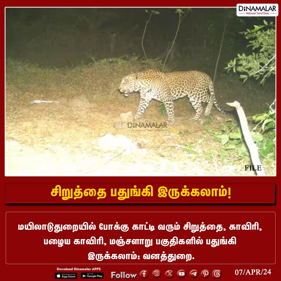 சிறுத்தை பதுங்கி இருக்கலாம்!
#leopard  | #Mayiladuthurai  | #ForestDepartment
dinamalar.com