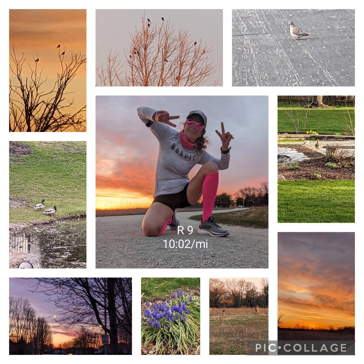 Gorgeous morning until the rain came..43F, no wind. Saw my cute mallard couples and a dove on the path. Run was tough but got it done. Struggled with breathing. Happy Sunday. Have a great workout @runningpunks #goodr #squirrelsnutbut