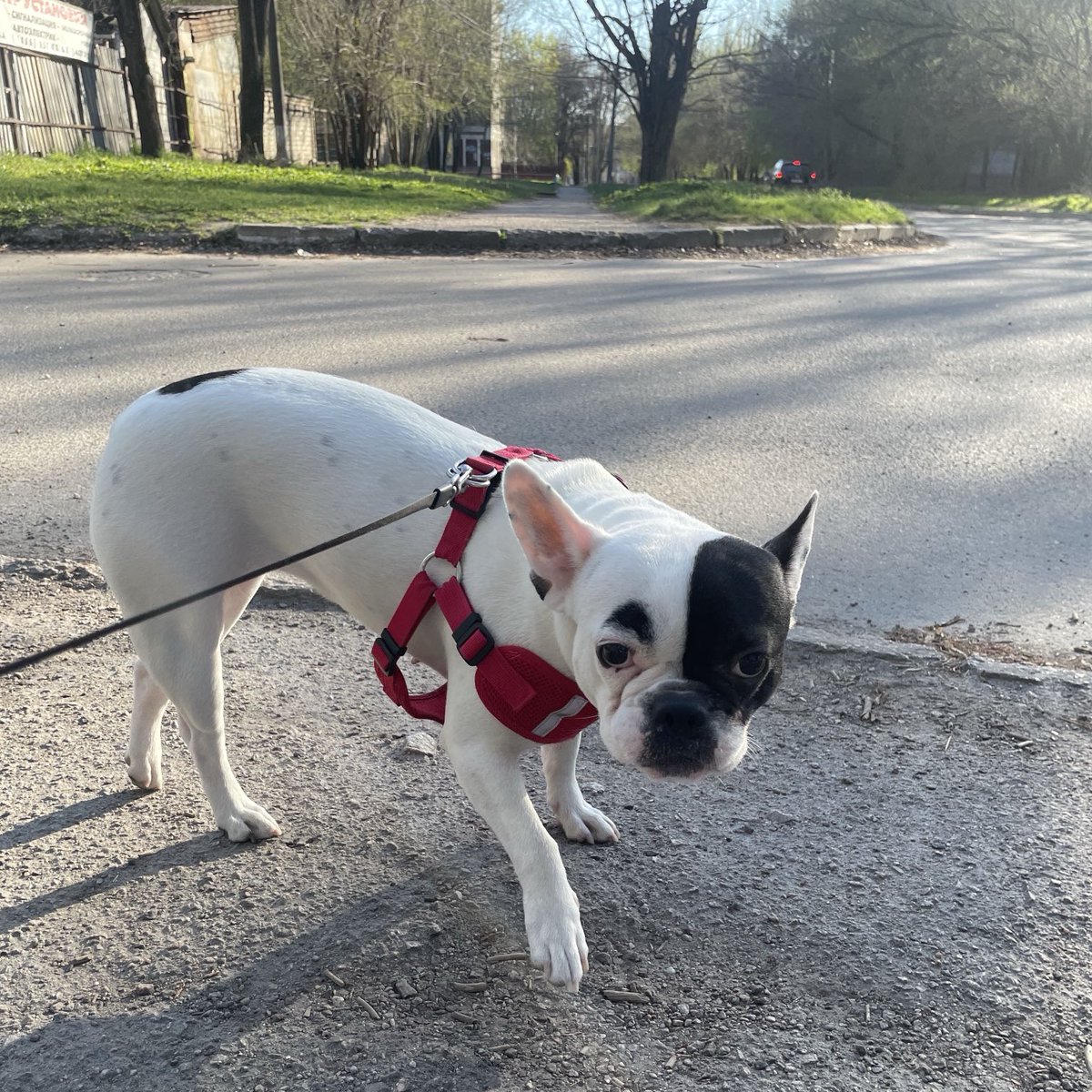 Amy Bliss ❤️⚡️ tweet media