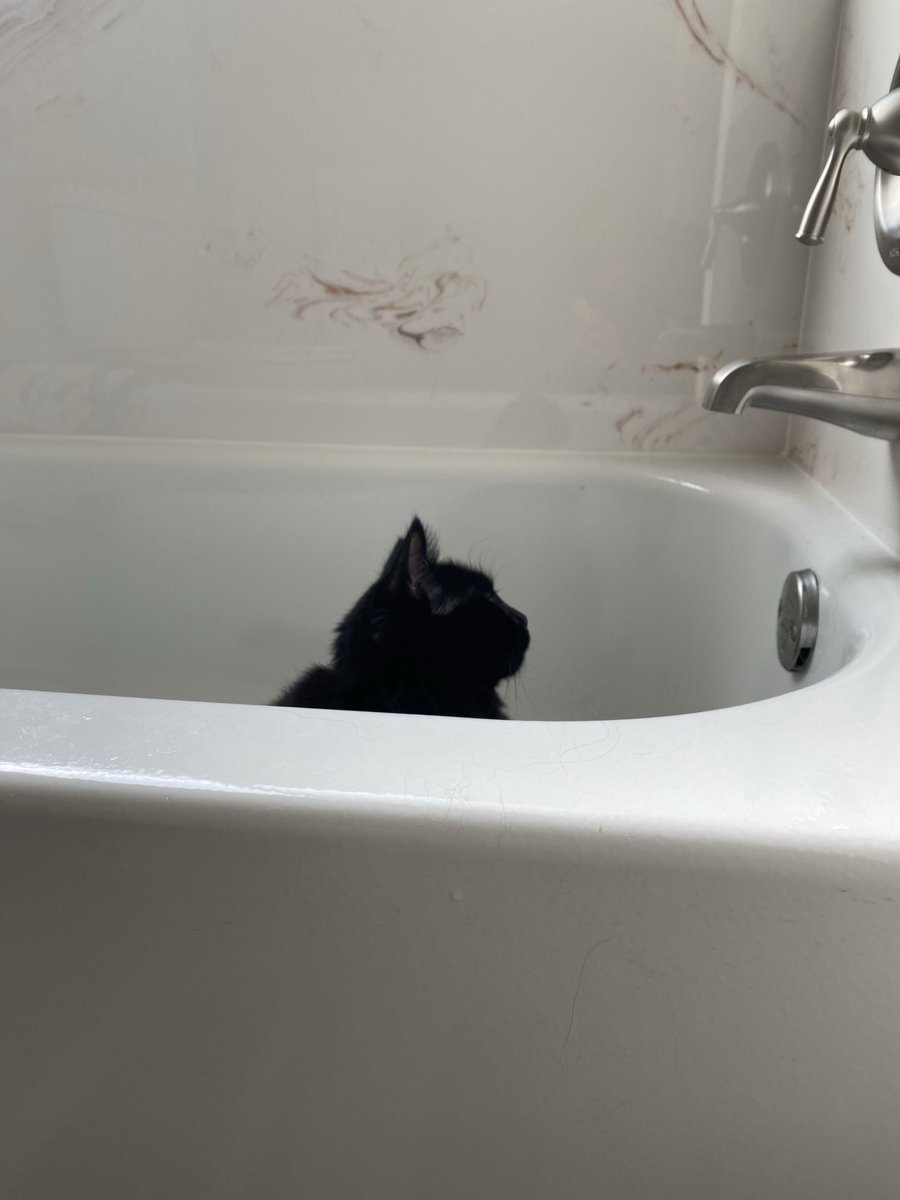 🐾Oh how I missed 🛁 time & my 
     my family when they went on 
     vacation. So today I celebrate 
     Cat Tub Sunday!🛁😸🐾
     ❤️😘🤗 to all! 🖤~Sabrina

#CatsOfTwitter #CatsOfX #CatsAreFamily #AdoptDon’tShop #BlackCats #CatPeople #CatsInTubs 
#Cats