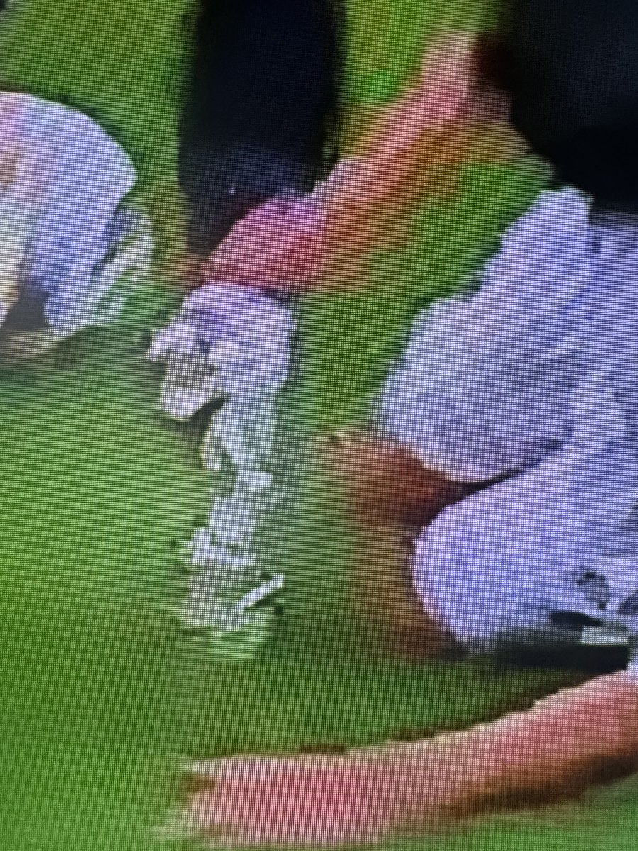 elfenomenor9r9's tweet photo. The league is stealing from LA GALAXY.  the mls do not want LAFC to drop their level.   Maybe better money investment?    But yesterday we were robbed.    Bounga jumps before our defender touch him.  NO PENALTY!  @MLS @LAFC @LAGalaxy @mlsnetwork @LAG__Rumors   #wegotrobbed https://t.co/QM2pJuVf1R