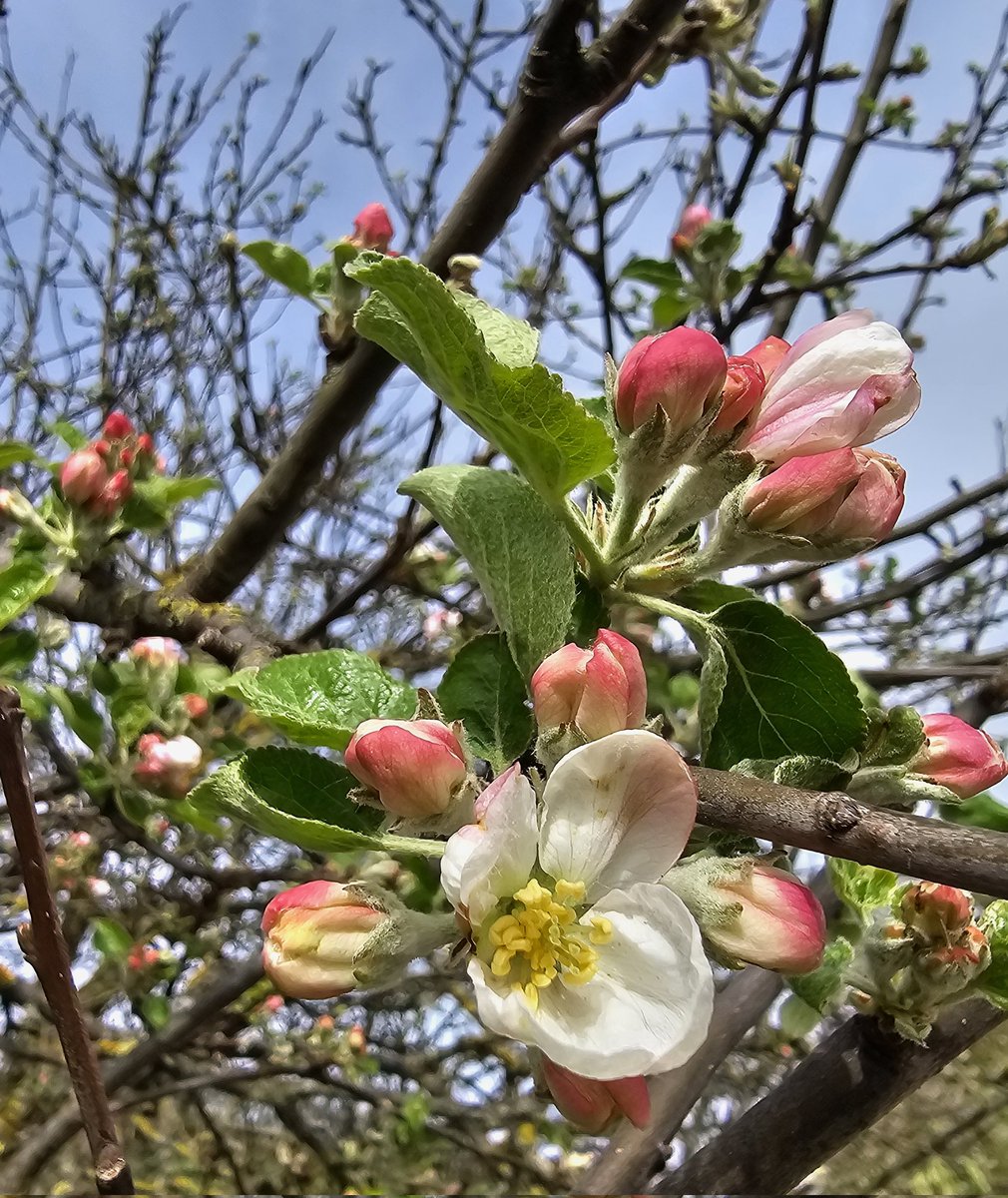 Frühling in Hessen 🌞