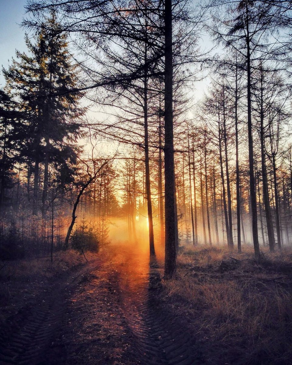 What are your thoughts on this breathtaking sunrise photo? Shot on iPhone by Groovypat 📱 #iPhone #photography #sunrise