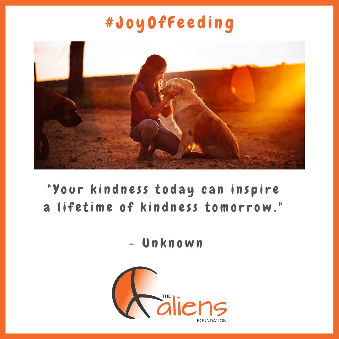 'Your kindness today can inspire a lifetime of kindness tomorrow.' - Unknown

#TheAliensAngels #AliensAngels #TheAliensFoundation #JoyOfFeeding #Pune #India #Food #Hunger #kind #kindness #words #wordsmatter #wordstoliveby #bekind #kindnessmatters