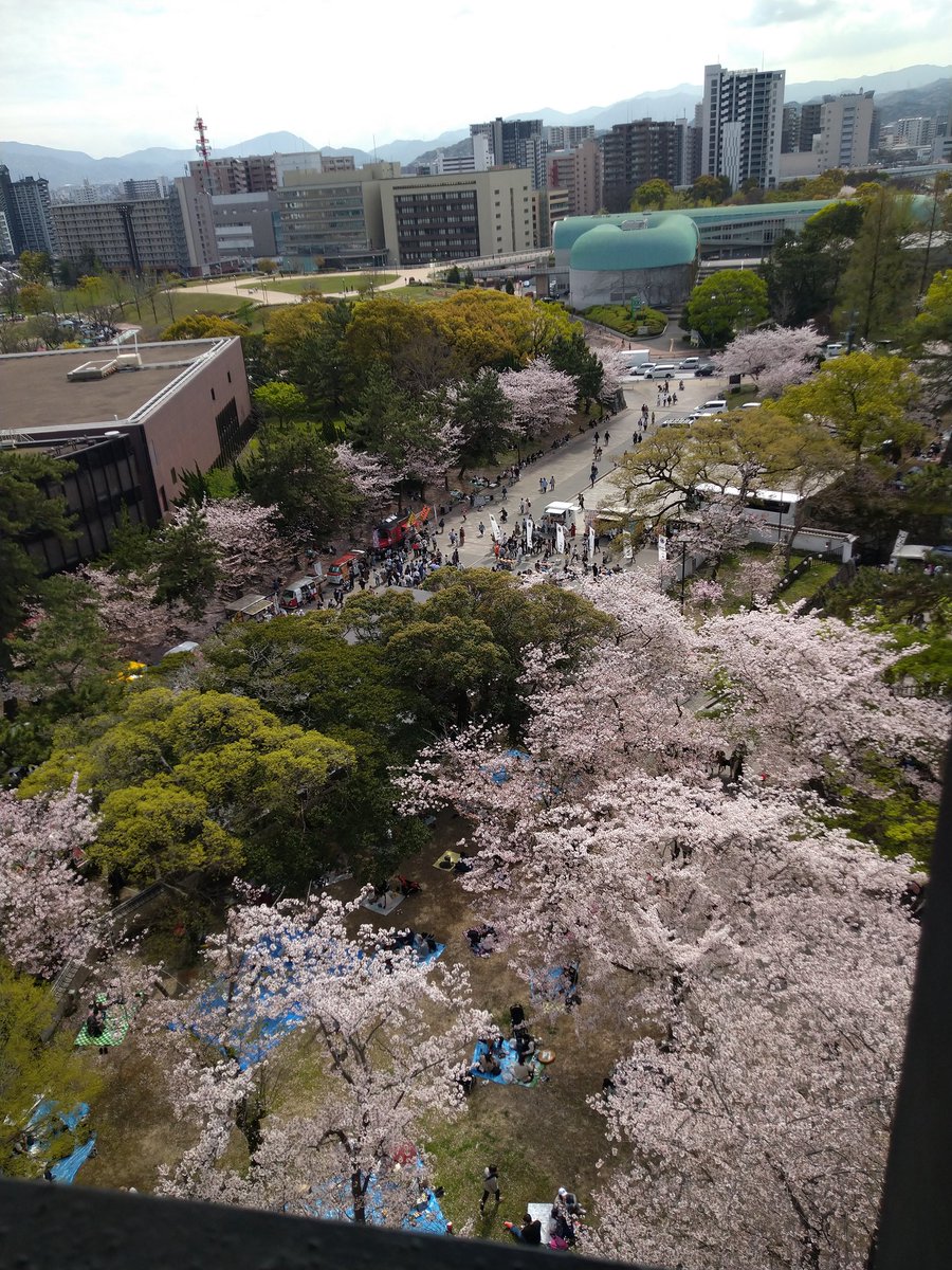 Camy_Shinobyu's tweet photo. カラリズムリサさんの個展を見に
小倉城🏯へ。。。
桜が🌸満開だった✨
昨日も小倉には出て曇りだったけど。。。(^_^;)
今日は青空☀で満開の桜が
見れた。。。＼(^o^)／
小倉城の5Fにはカフェが常設
されてた。。。
店舗は月替り？みたいだけど、
なかった時より賑やかになってた。。。
#LeVelGirls https://t.co/96l6nY4NRN