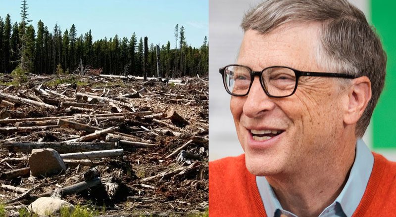 🔴Bill Gates ; ' Küresel Isınmaya Karşı Mücadele İçin Kademeli Olarak 70 Milyon Dönüm Ağacın Kesilmesi Planını Devreye Sokacağız.'