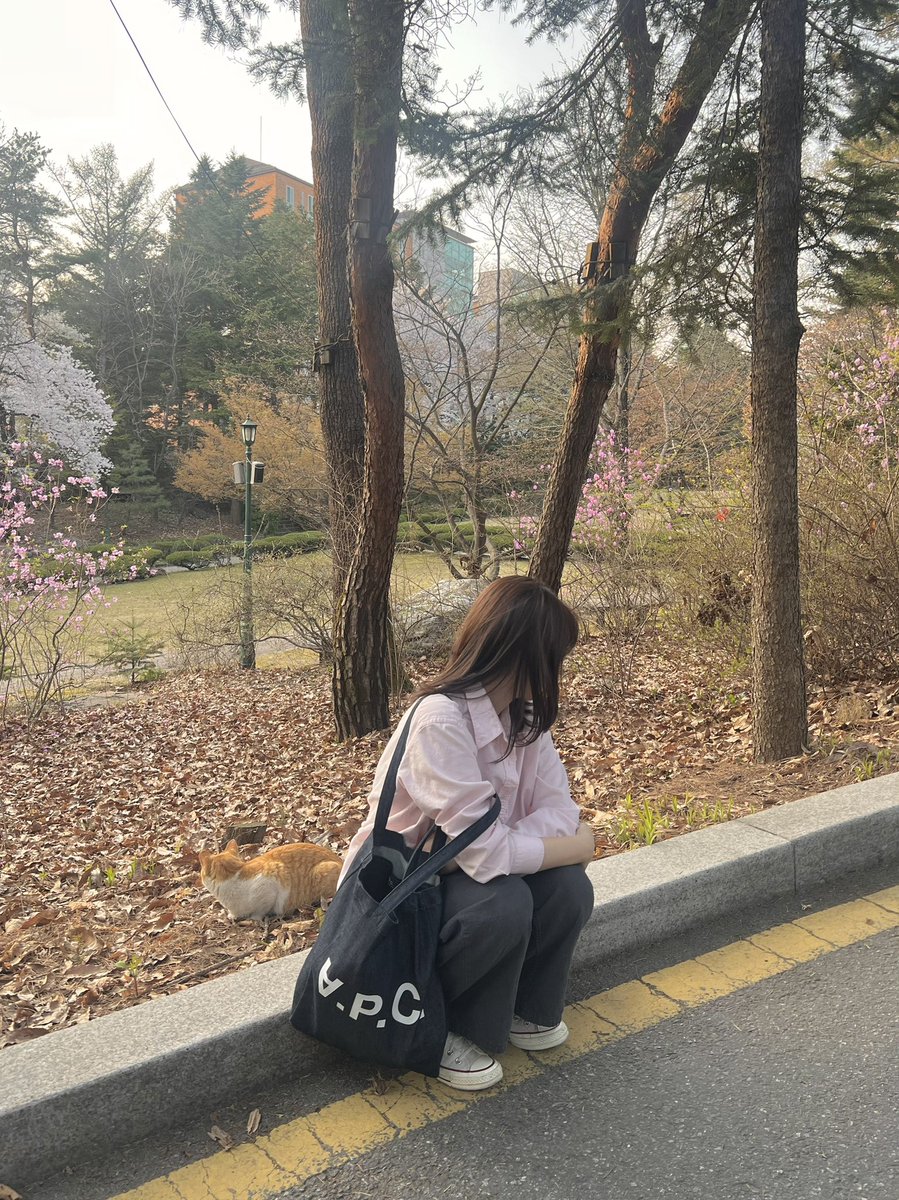 jinchoda's tweet photo. 주말 돌려내 https://t.co/I2FY8qr671