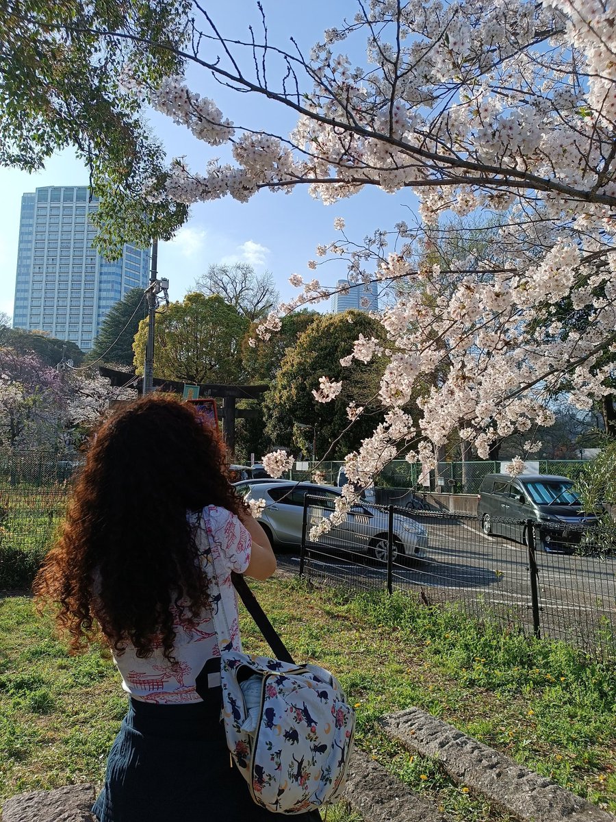 Adorian_kun's tweet photo. Últim dia de vacances:

Sakura i gent que estimo.

❤️ https://t.co/VFkFEOsgJS