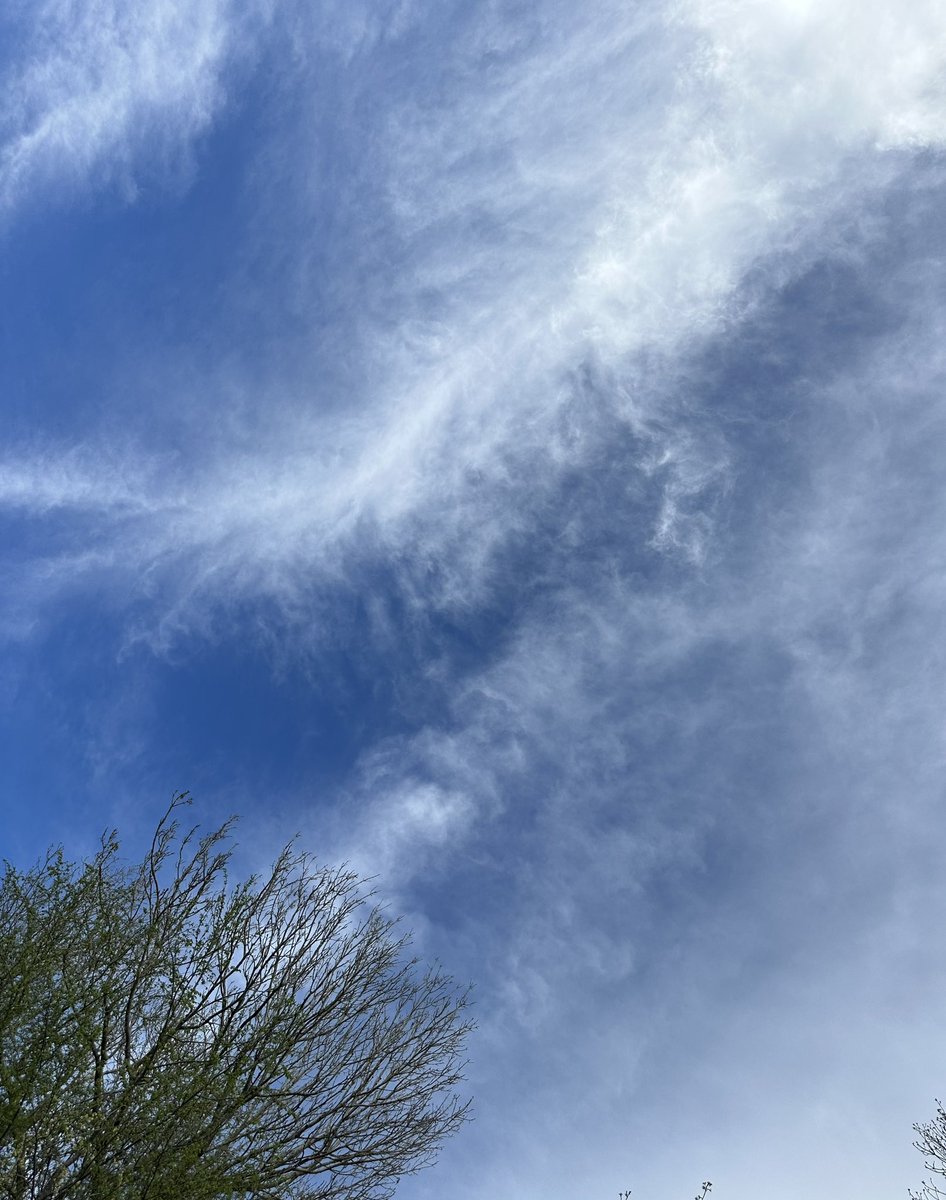 Flink zonnige dag in #Rotterdam e.o. .
Hoe is het weer in #Amsterdam ?😉