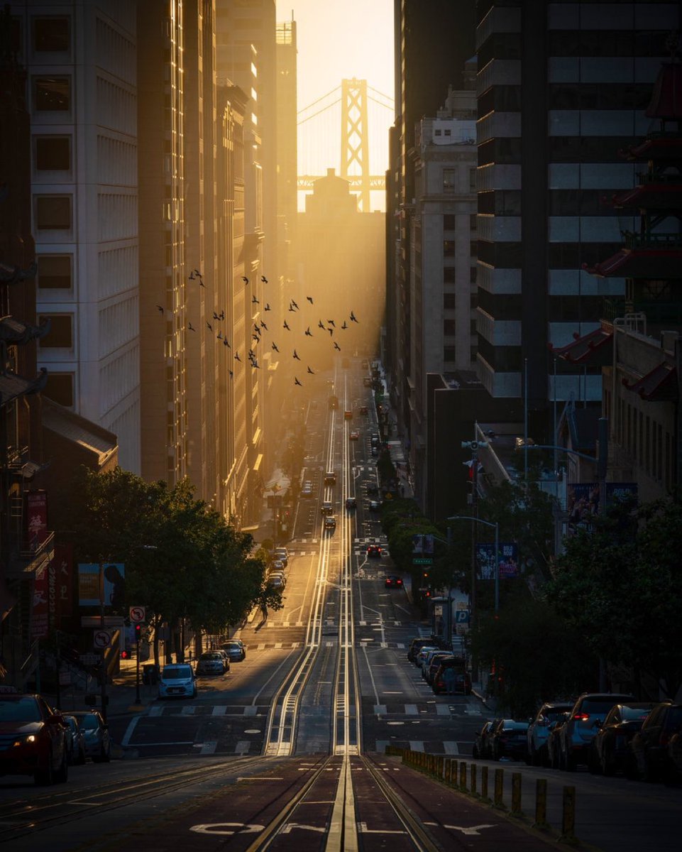 Artist <a href="/LuisVisuals/">alter</a>