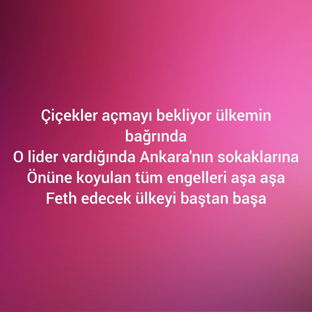 Piramit Koza Akademi (@tanyajaziri) on Twitter photo 
