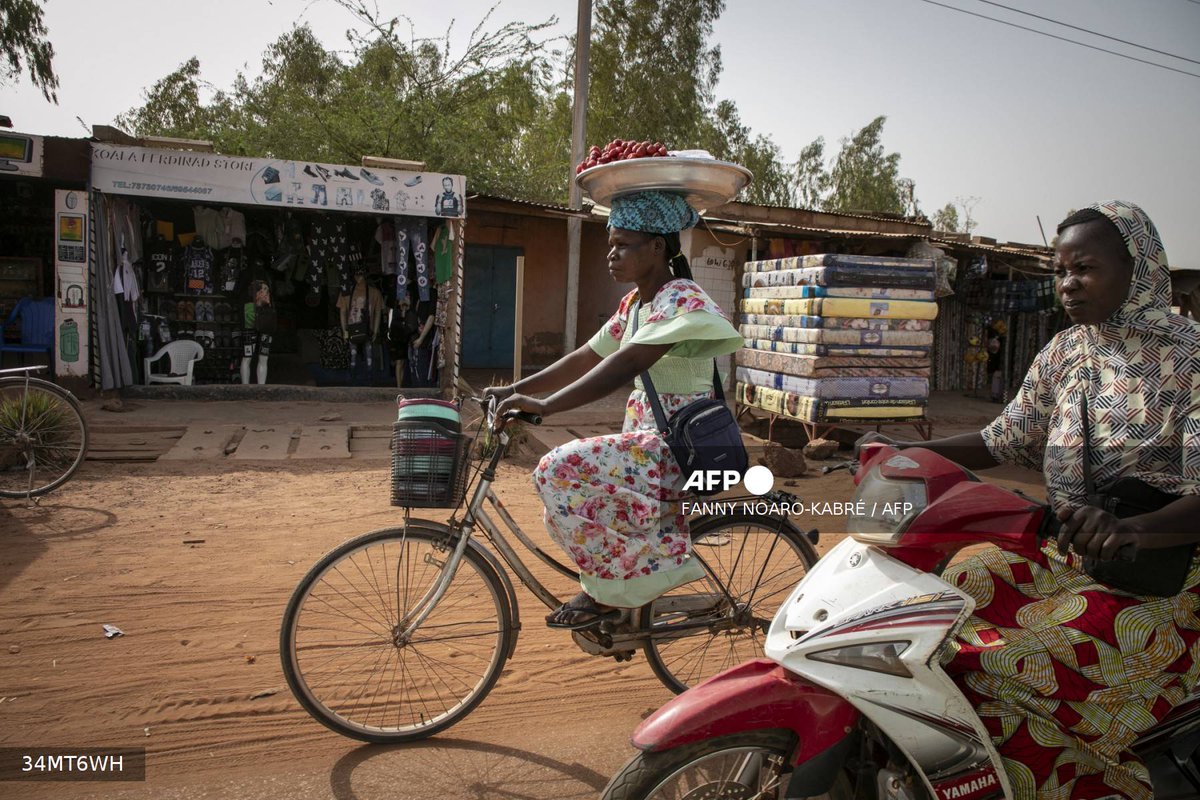 #BurkinaFaso Unexpected strawberry crop spins Burkina's 'red gold' #AFP 📷 Fanny Noaro-Kabré