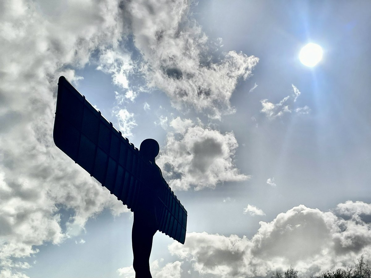 Cetti Long tweet media