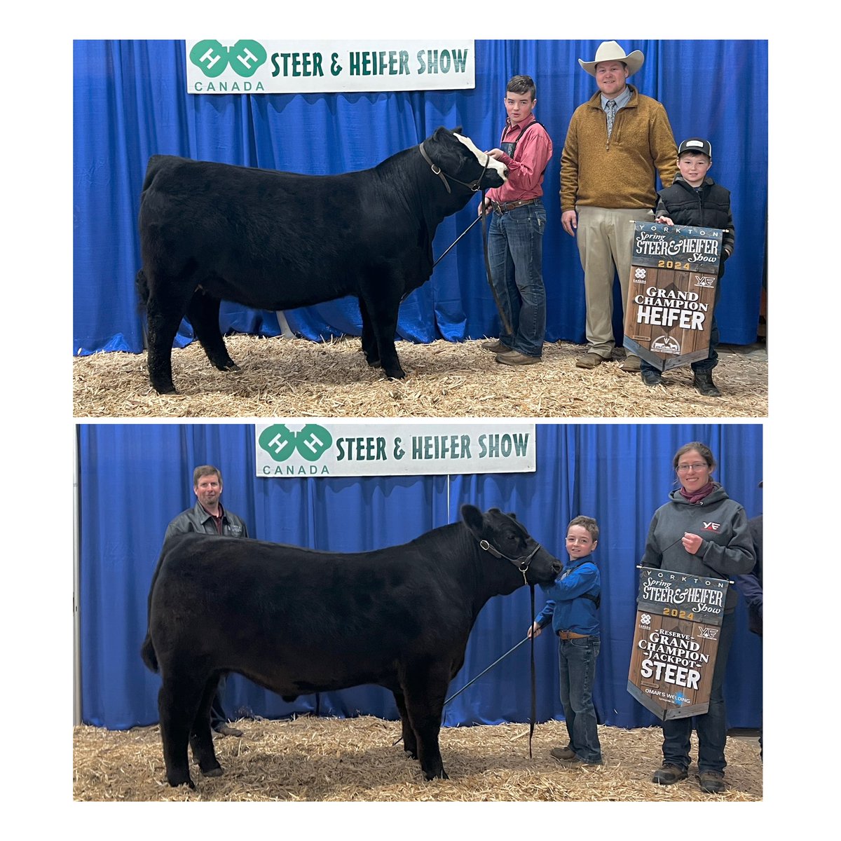 Yorkton Spring Steer & Heifer show was great to these kids! Laundry for days, sore feet for a week but memories and life lessons to last a lifetime 😀! Kids are fortunate to have a great group of friends to do this show thing with - looking forward to the spring/summer show run!