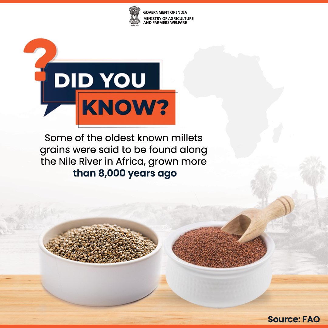 Superfood with ancient roots, when are you adding millets to your plate? #IYM2023 #ShreeAnna #history