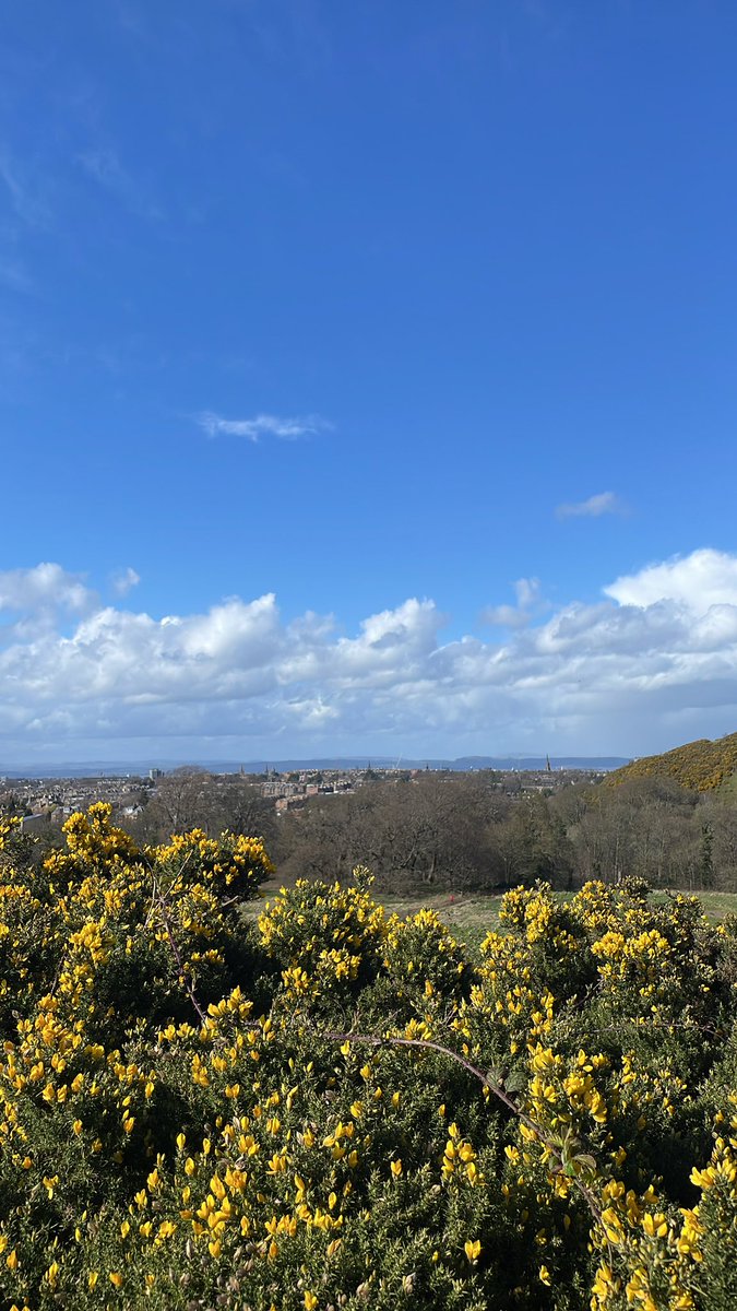 The view from the flanks of the braid hills this afternoon. #Edinburgh ♥️