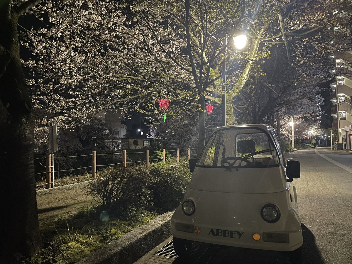 夜桜。富山は今が満開かなぁ