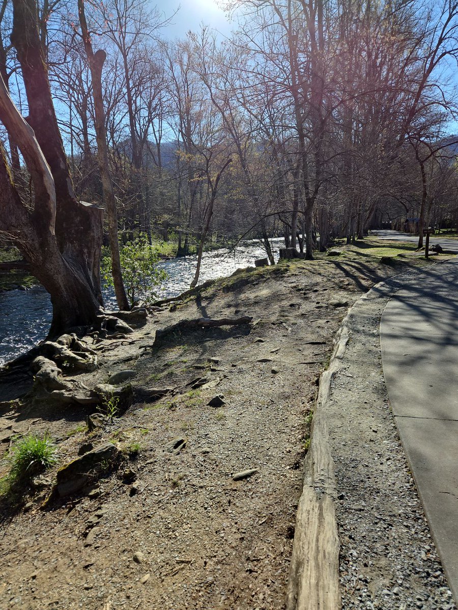 Botanist Adam Bigelow with Bigelow's Botanical Excursions leading our Native Plant Walk:

"Can we eat it?" (Most common question ever.)
Answer: "At least once." 

#ncmc #ncmuseumscouncil #NCMC2024 #museumsadvocacy #museums #museumsmatter #ncmuseums #northcarolina #cherokee #nc
