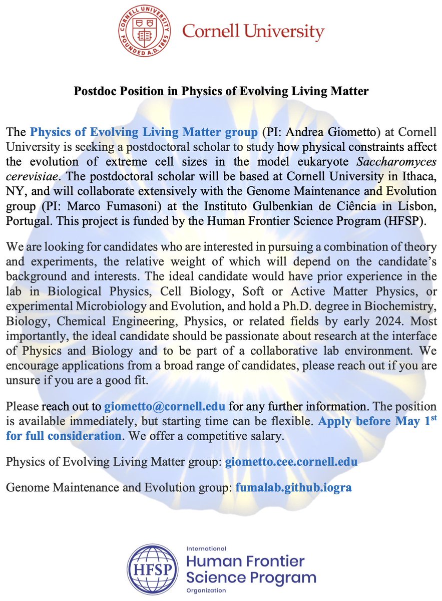 Andrea Giometto (@andreagiometto) on Twitter photo 🙏RT! Funded postdoc in our group <a href="/Cornell/">Cornell University</a> <a href="/CornellEng/">Cornell Engineering</a> on biophysics of cell size evolution in collaboration with <a href="/MarcoFumasoni/">Marco Fumasoni</a> @IGCiencia at the intersection of Soft Matter and Cell Biology. Reach out! <a href="/ApsDbio/">APS Division of Biological Physics</a> <a href="/ApsDsoft/">APS DSOFT</a> <a href="/ASCBiology/">American Society for Cell Biology</a> <a href="/ASMicrobiology/">ASM</a> <a href="/HFSP/">HFSP</a> shorturl.at/artKL 🙏RT! Funded postdoc in our group <a href="/Cornell/">Cornell University</a> <a href="/CornellEng/">Cornell Engineering</a> on biophysics of cell size evolution in collaboration with <a href="/MarcoFumasoni/">Marco Fumasoni</a> @IGCiencia at the intersection of Soft Matter and Cell Biology. Reach out! <a href="/ApsDbio/">APS Division of Biological Physics</a> <a href="/ApsDsoft/">APS DSOFT</a> <a href="/ASCBiology/">American Society for Cell Biology</a> <a href="/ASMicrobiology/">ASM</a> <a href="/HFSP/">HFSP</a> shorturl.at/artKL