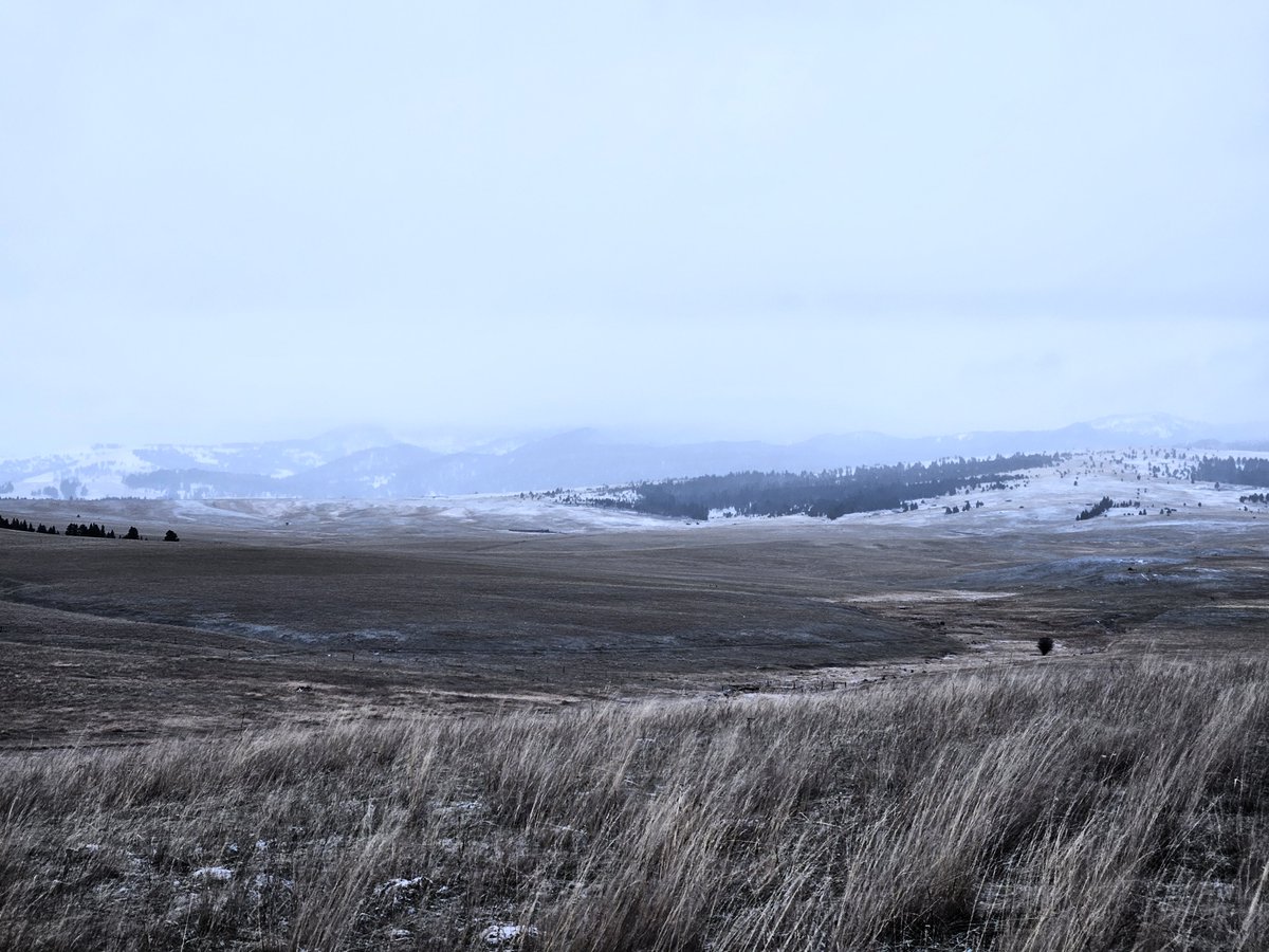 O'teach John tweet media