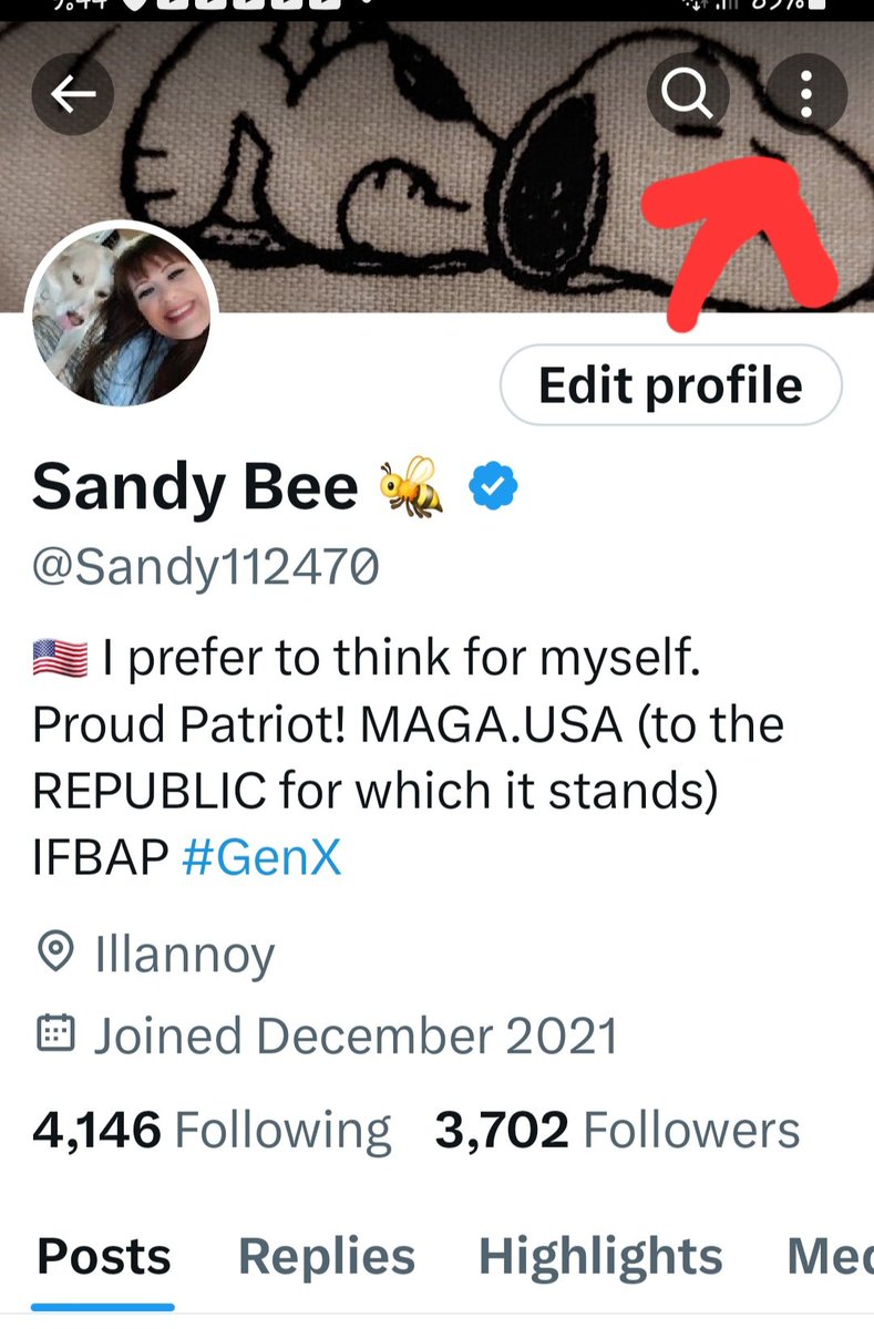 Tweet media one