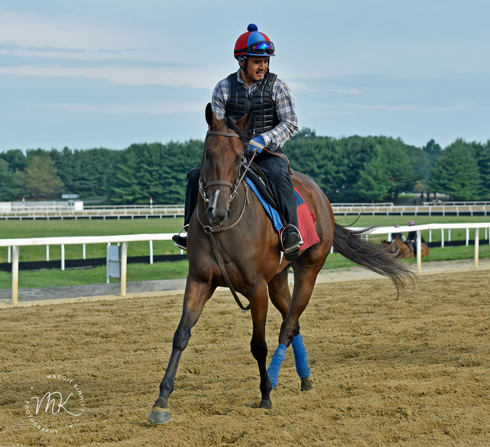 Classic Vinyl hits all the right notes at @TampaBayDownsFL:

herringswellstables.com/beautiful-musi…

#PoweredbyTLore
#HorseBitscuits