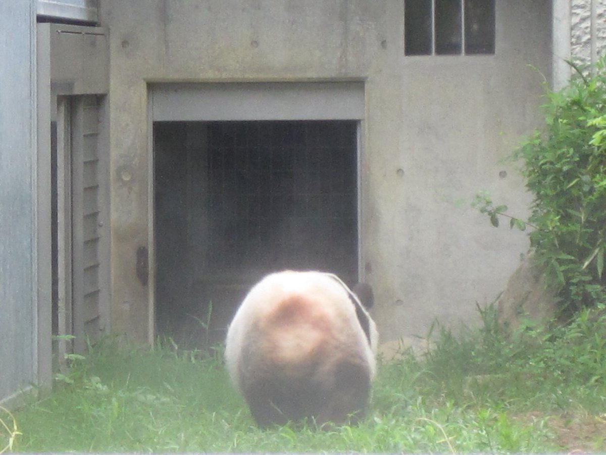 旅立ちから1週間
そちらの暮らしはどうかな

タンタンに初めて会った瞬間を今でも覚えているよ
お庭のテーブルで頬杖ついていたね
微笑んだ柔らかな表情に魅了されたよ

心がしんどい時に助けてくれてありがとう
タンタンと同じ時代に生まれて良かった
あなたの幸せをこれからもずっと願い続けます🌈