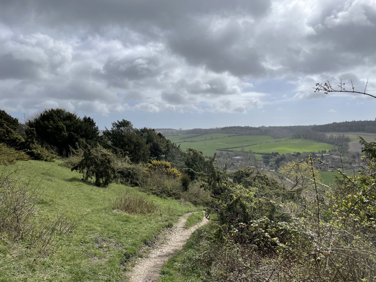 EmmaCameron9's tweet photo. Lovely day at #LevinDown nature reserve. Lots of butterflies, chiffchaffs and blackcaps about. ⁦@SussexWildlife⁩ ⁦@sdnpa⁩ #WestSussex https://t.co/5ylgAfQk5H