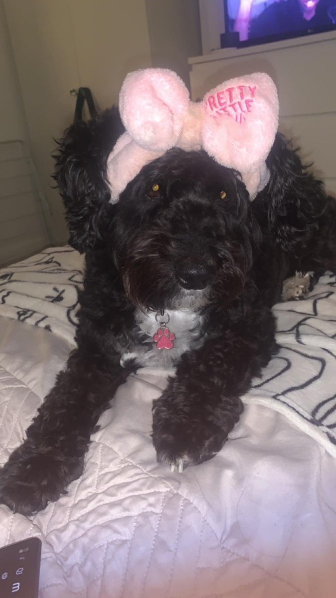 Found Elsie chewing on one of my HRT patches….. at least she’s in a better mood now 🐾